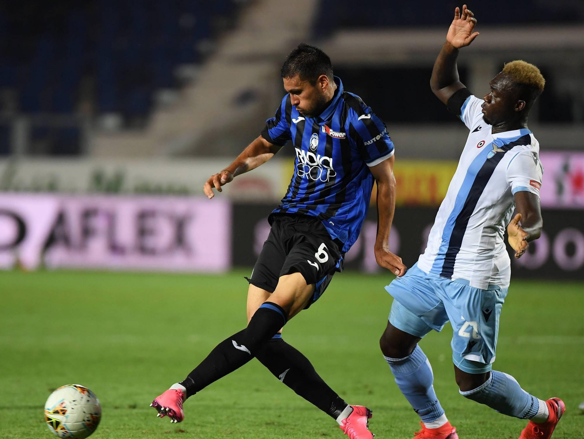 仅巩固了意 仅巩固了意