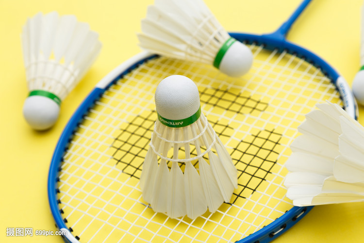 乐言队将 乐言队将