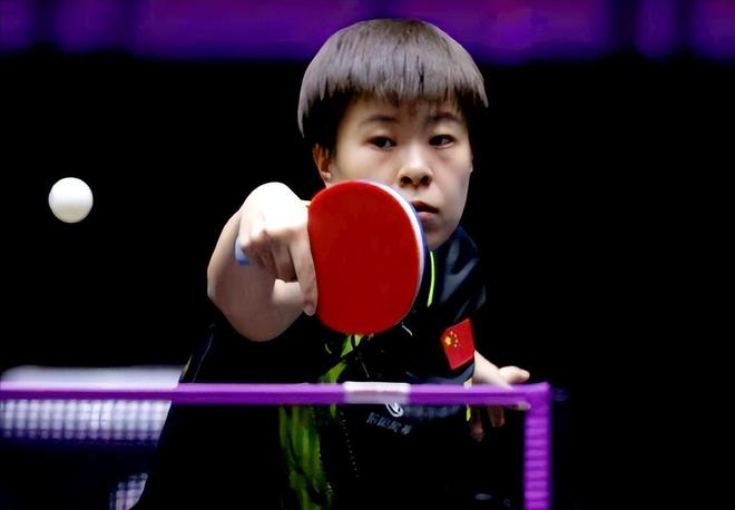 视线遮挡 视线遮挡